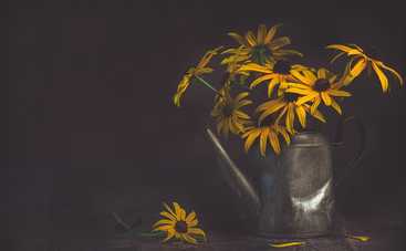 Магнитные бури 26 августа 2021 в Украине