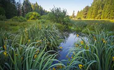 Лунный гороскоп на 27 августа 2021 года для знаков Зодиака