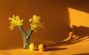 Лунный гороскоп на 28 августа 2021 года для знаков Зодиака