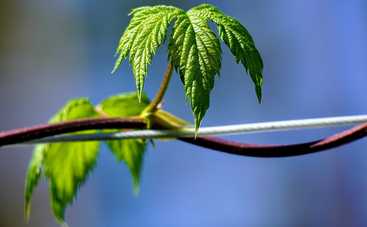 Лунный гороскоп на 3 сентября 2021 года для всех знаков Зодиака