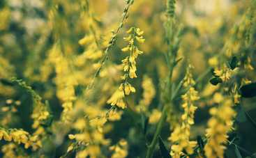 Лунный гороскоп на 12 сентября 2021 года для всех знаков Зодиака