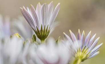 Лунный гороскоп на 13 сентября 2021 года для всех знаков Зодиака