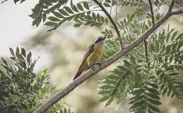 Лунный гороскоп на 15 сентября 2021 года для всех знаков Зодиака