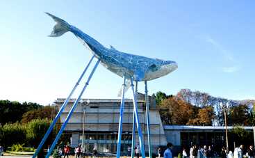 Киевский Кит – новый экологический символ столицы: крупнейшая скульптура из переработанного пластика