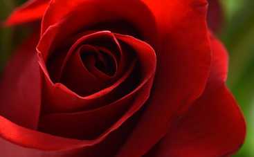 Глоба назвал счастливчиков середины сентября