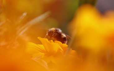 Лунный гороскоп на 30 сентября 2021 года для всех знаков Зодиака