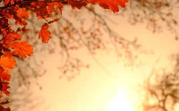 Лунный гороскоп на 5 октября 2021 года для всех знаков Зодиака