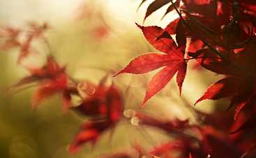 Гороскоп на 25 октября 2021 для всех знаков Зодиака