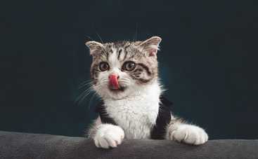 Гороскоп на 28 октября 2021 для всех знаков Зодиака