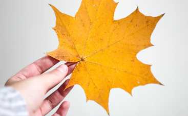 Гороскоп на 29 октября 2021 для всех знаков Зодиака