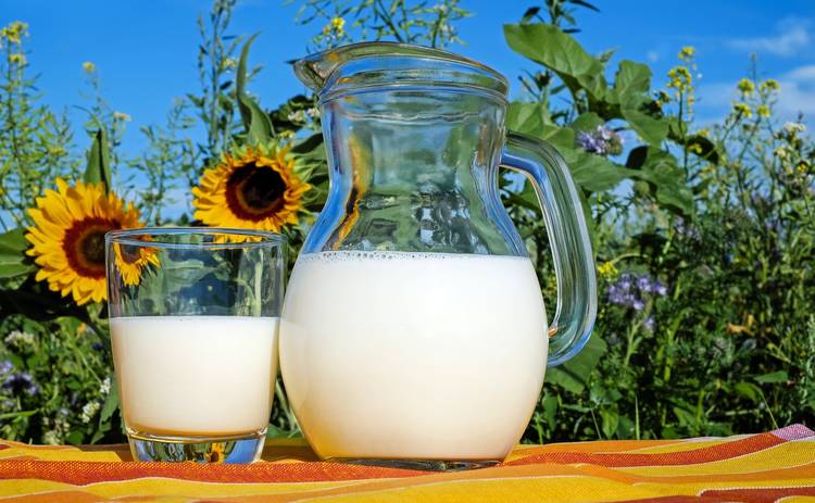 Доктор Комаровский объяснил, действительно ли безлактозное молоко лучше обычного