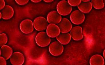 Рождаются гении: ученые назвали самую интеллектуальную группу крови
