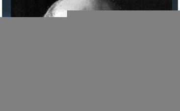 Из « Большого Секса» в великое искусство