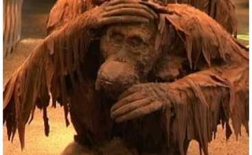 Венецианский фестиваль открыла сумасбродная комедия