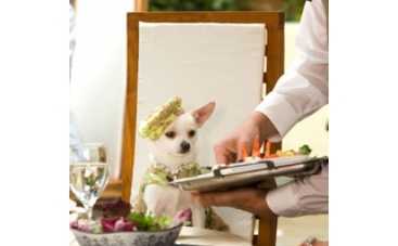 "Крошка из Беверли-Хиллз" впереди всех