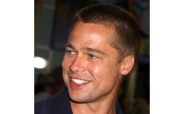 Брэд Питт стал строителем