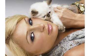 Пэрис Хилтон рассердила рок-музыканта