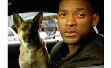 Продолжение "Я - легенда" станет не приквелом, а сиквелом этого фильма