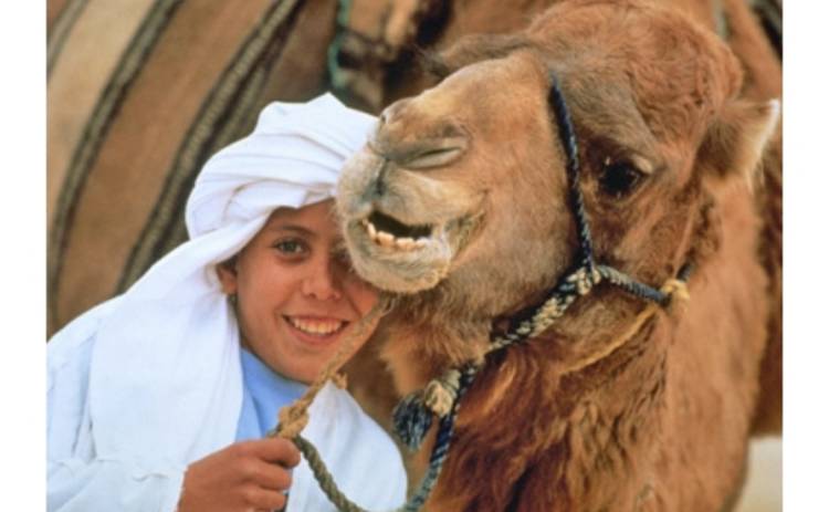 Студию НТВ разгромил горбатый зверь