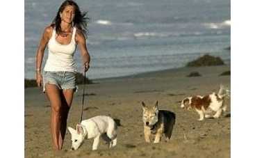 Дженнифер Энистон хочет сделать из четырехногого друга кинозвезду