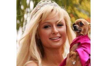 Пэрис Хилтон: "Блондинки очень умные!"