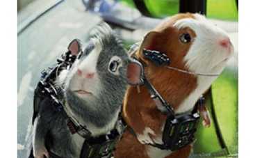 Новый 3D мульт: мир спасают морские свинки