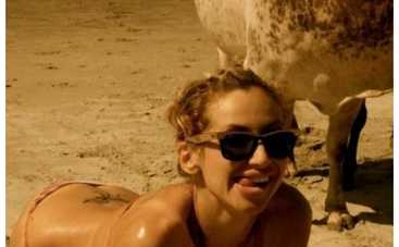 Светлана Лобода понравилась быку