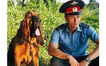 Безруков подобрал себе "участок"