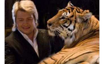 На Баскова напал тигр