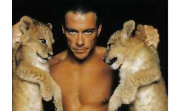 Жан-Клод Ван Дамм снимется в фильме ужасов