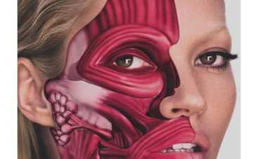 Лицо Кейт Мосс препарировали