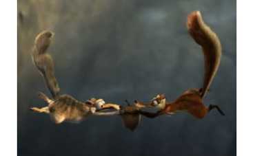 Третий "Ледниковый период" поставил новый рекорд кассовых сборов в СНГ