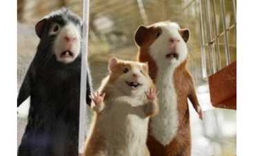 "Гарри Поттер" повержен морскими свинками