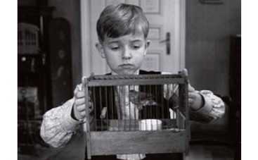 Победитель "Канн" сразится за "Оскар"