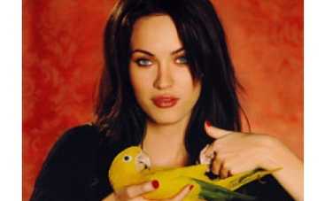 Меган Фокс не уважает режиссера "Трансформеров"