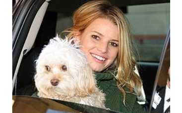 Трагедия в семье Джессики Симпсон: койот разбил звезде сердце