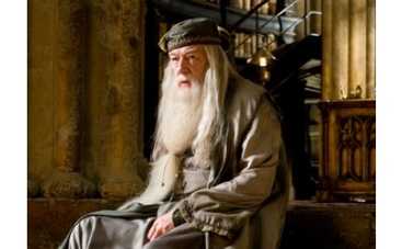 Дамблдор не читал "Гарри Поттера", чтобы не огорчаться