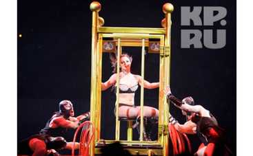 У Бритни Спирс теперь два попугая