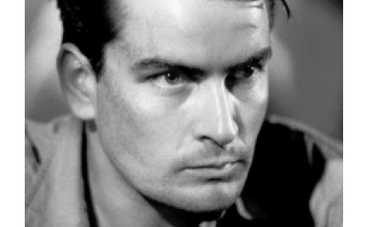 Чарли Шин приставлял нож к горлу жены