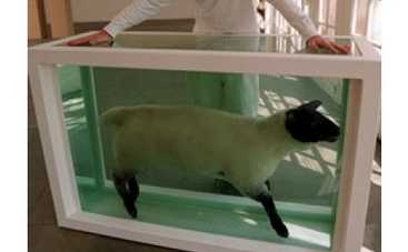 Дэмиену Херсту порекомендовали засунуть голову в мешок