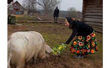 Ксению Собчак отправили в деревню