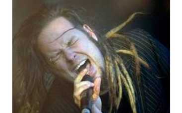 Американские музыканты за экологию