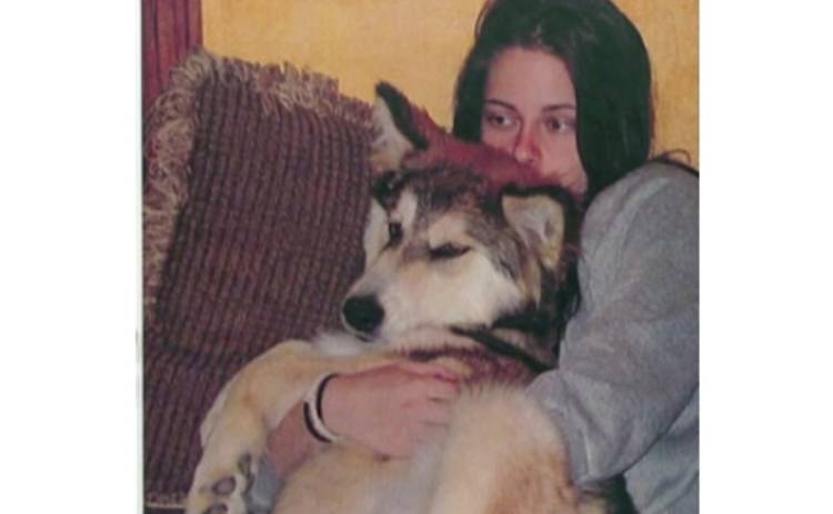 Кристен Стюарт живет с волком