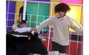 Зачем звезды приезжают на "Большие гонки"?