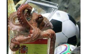 Умер известный предсказатель