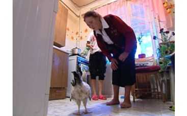 "Здравствуйте, я ваша мама" за границей