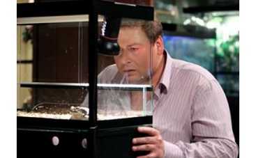 "Воронины": актриса из зоомагазина