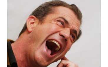 Папарацци изгнали Гибсона с полуострова