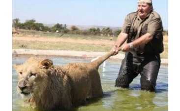 "Шоу дурацких рекордов" и "Лучшие нокауты мира" на канале "2+2"