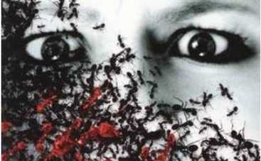 Опасайтесь пчел!